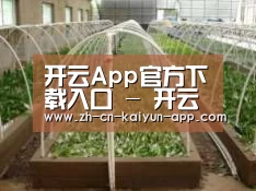 环境展示五