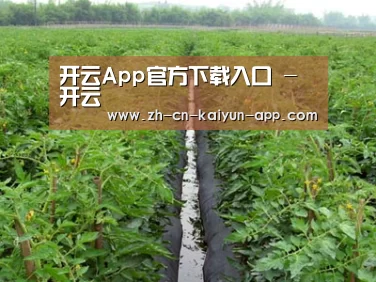 种植基地三