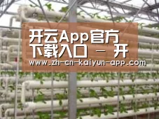 环境展示六
