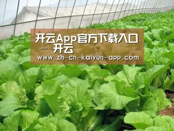种植基地一