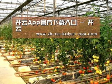 种植基地二