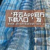 开云App官方下载入口 