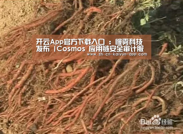 开云App官方下载入口 