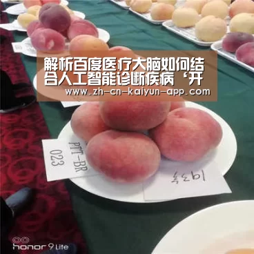 开云App官方下载入口 